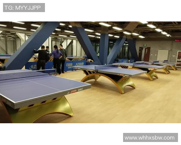 运动数据乒乓球装备选购指南及高效训练器材推荐助你提升球技