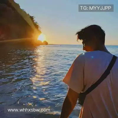 晏清飚